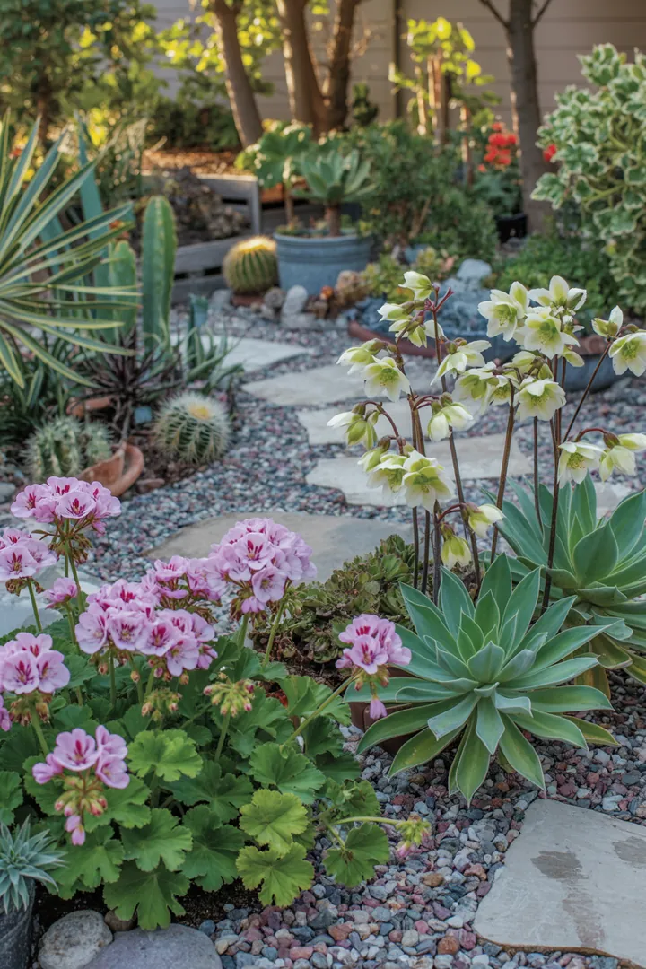 Ein blühender Garten mit vielfältigen Pflanzen, darunter violette und blaue Blumen sowie immergrüne Bodendecker, die schattige Bereiche verschönern und pflegeleichte Akzente setzen.