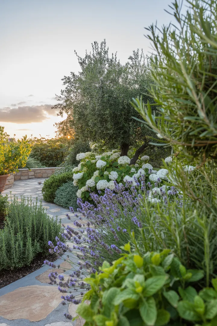 Bunte Mischung aus duftenden Kräutern und aromatischen Pflanzen mit silbrigem Laub, perfekt für einen mediterranen Garten.