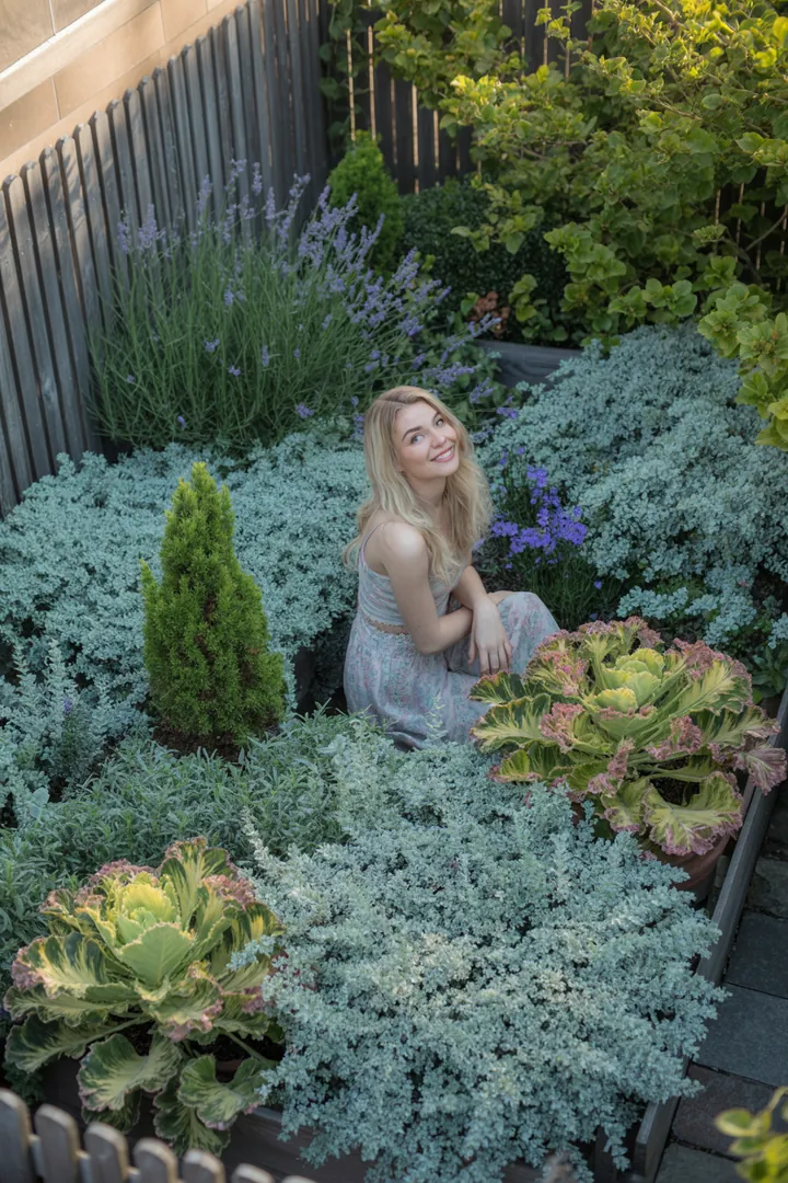 Eine vielfältige Gartenlandschaft mit kompakten, duftenden Pflanzen, immergrünen Sträuchern und auffälligen roten Akzenten, ideal für pflegeleichte und schattige Bereiche.