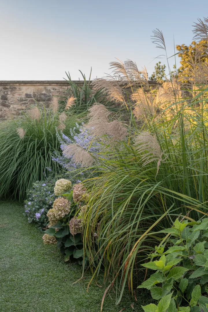 Ein harmonisches Ensemble aus hohen, eleganten Gräsern mit unterschiedlichen Texturen und Farben, ideal für stilvolle Gärten und naturnahe Landschaften.