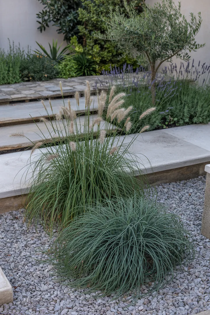 Ein harmonisches Ensemble von Gräsern mit unterschiedlichen Höhen und Texturen, das eine elegante und strukturierte Gartenlandschaft schafft. Farbiges Laub und wintergrüne Sorten verleihen dem Arrangement zusätzliches Interesse.