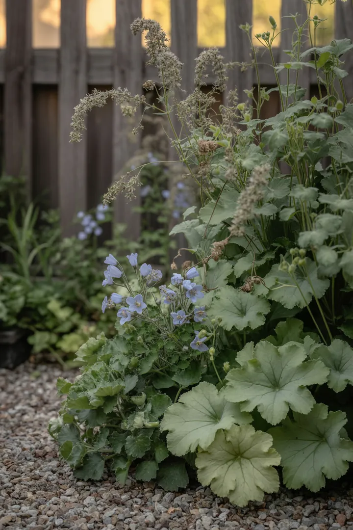 Ein ansprechendes Arrangement von Gräsern mit hohen, eleganten Halmen, strukturierten Blättern und dekorativen, farbigen Herbstnuancen, das wintergrüne Akzente setzt und schattige Bereiche belebt.