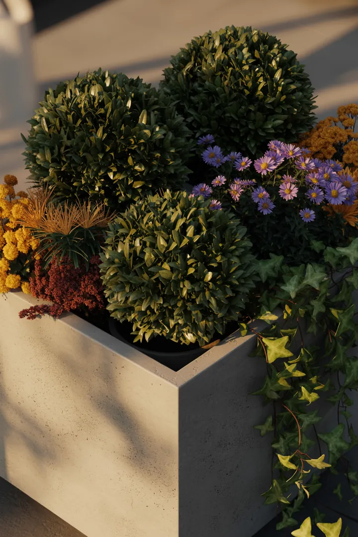 Vielfältige Pflanzenanordnung mit immergrünen, formbaren Sträuchern und kompakt wachsenden, duftenden Arten, die harmonische Farben und Texturen bieten. Ideal für pflegeleichte Gärten.