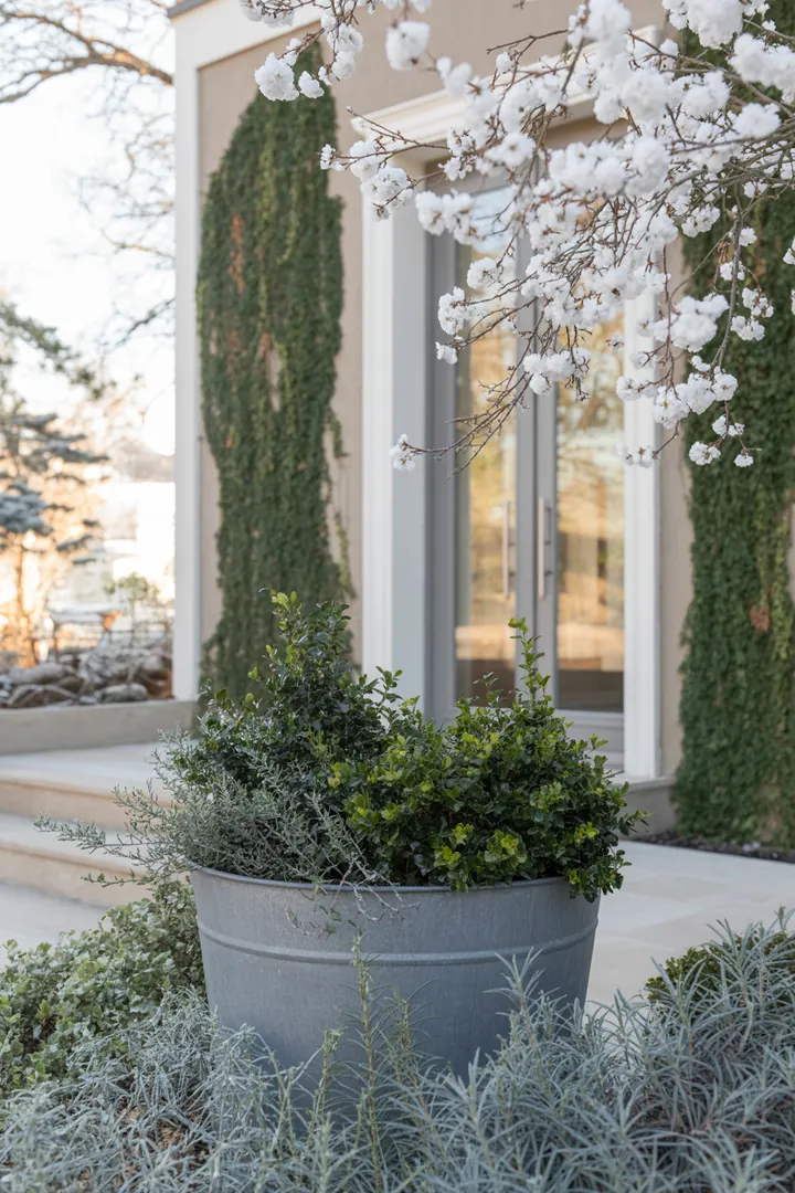 Bunt blühende Gartenvielfalt mit winterblühenden Pflanzen und duftenden Kräutern, die robust und pflegeleicht sind. Ideal für insektenfreundliche Gestaltung und trockene Standorte.