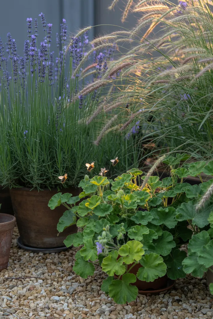 Bunte Blütenpracht mit duftenden Pflanzen, die Trockenheit trotzen, und bienenfreundlichen Arten, ideal für sonnige Gärten. Robust und pflegeleicht.