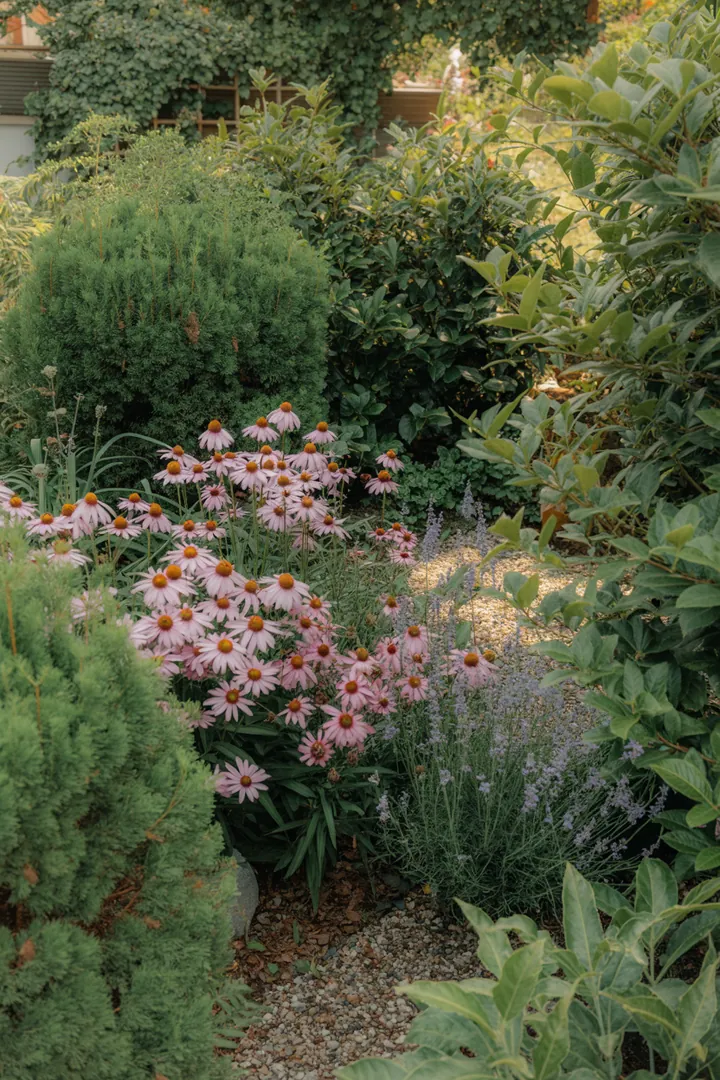 Eine vielfältige Pflanzenauswahl mit immergrünen Sträuchern, duftenden Blüten und bunten Herbstfarben, ideal für jeden Garten.