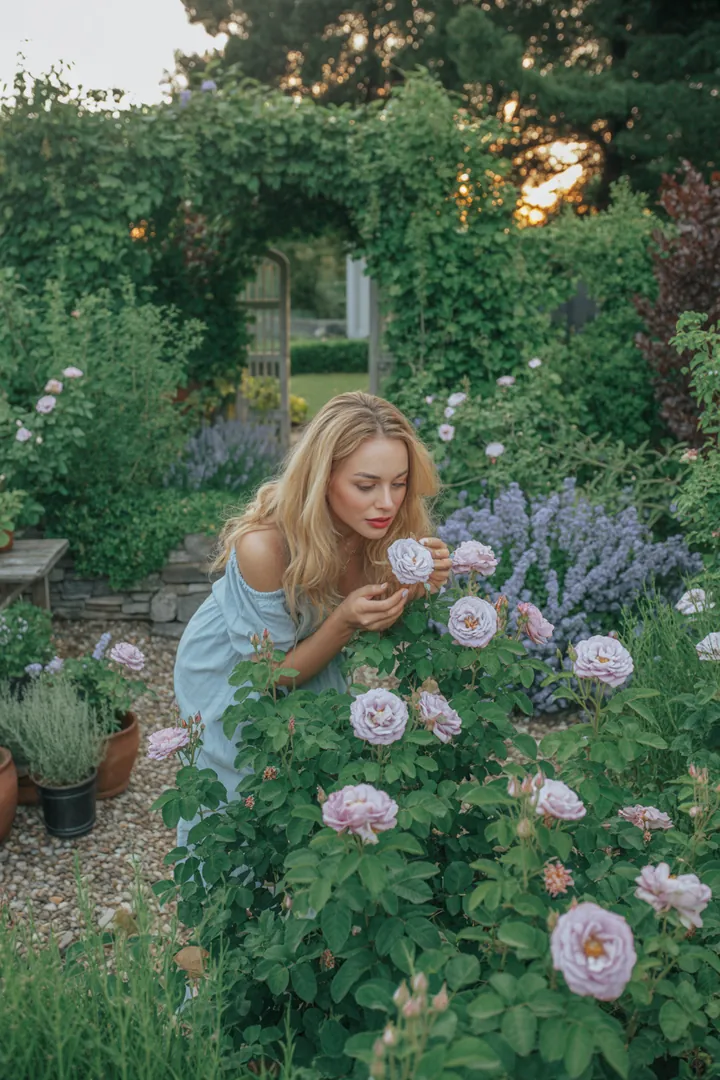 Bunt blühende Pflanzenvielfalt im Garten: immergrüne Sträucher, duftende Frühblüher und robuste, farbenfrohe Gewächse für jeden Jahreszeitenschmuck.