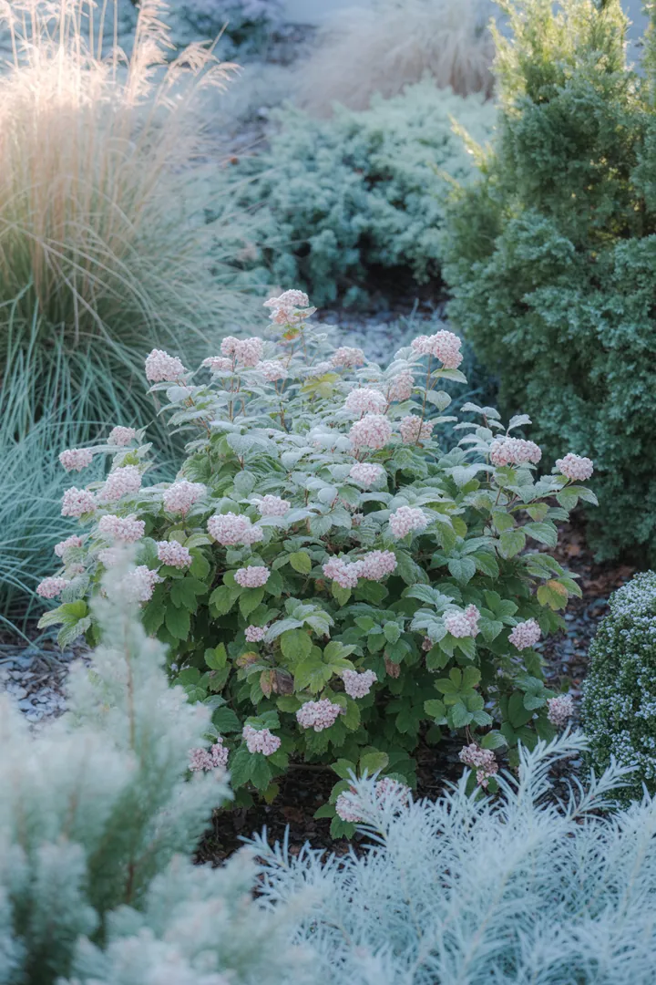 Blühende Landschaft mit verschiedenen Sträuchern, darunter immergrüne Pflanzen, die winterliche Farbenpracht zeigen, sowie duftende Frühblüher und robust blühende Arten.