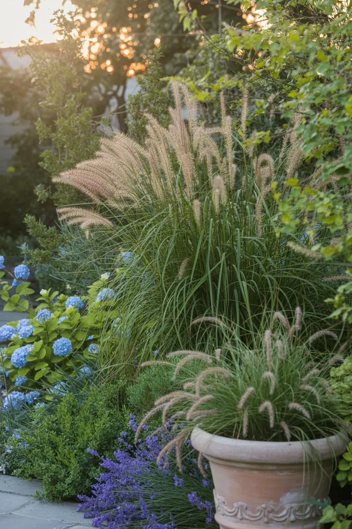 Vielfältige Gräser in einem Garten: Hochwachsende, elegante Blätter harmonieren mit pflegeleichten, aufrechten Pflanzen. Farbiges Laub und dekorative, hängende Formen schaffen ein ansprechendes Gesamtbild.