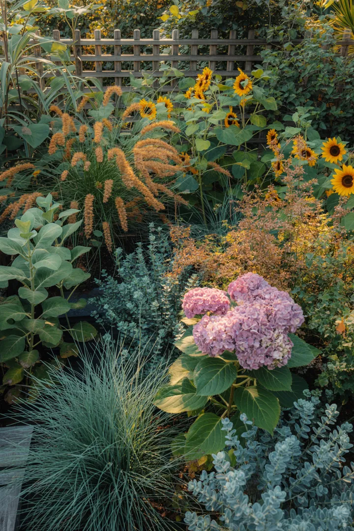 Bunte Gräser und Pflanzen mit beeindruckenden Formen und Farben schaffen eine harmonische Gartenlandschaft. Hochwachsende, elegante Arten harmonieren mit pflegeleichten, strukturgebenden Sorten und verleihen jedem Außenbereich einen natürlichen, dekorativen Charakter.