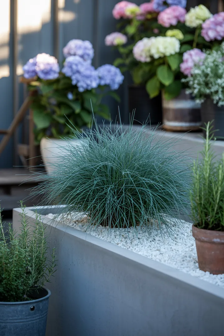 Vielfältige Gräser in harmonischer Anordnung, die mit eleganten, hochwachsenden Blättern und farbenfrohem Herbstlaub beeindrucken. Robust und pflegeleicht, ideal für abwechslungsreiche Gartenlandschaften.