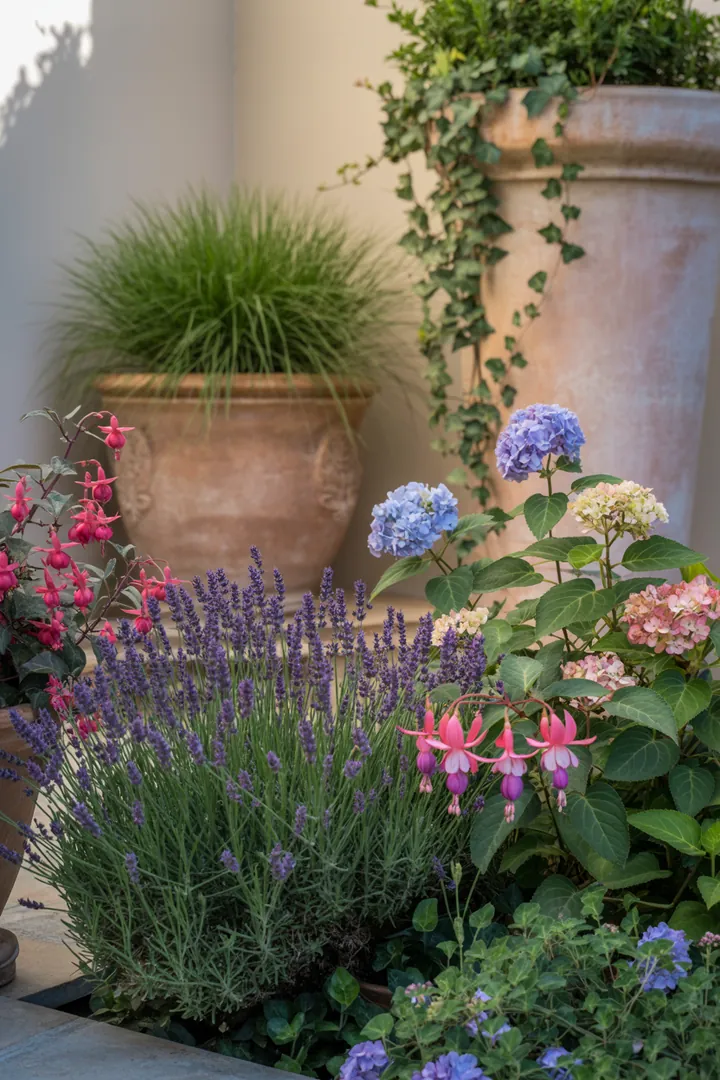 Bunt blühende Pflanzenarrangement in einem dekorativen Kübel, mit lila Lavendel, pinker Fuchsie und grünen Efeu, umgeben von zartem Ziergras und blühenden Geranien.