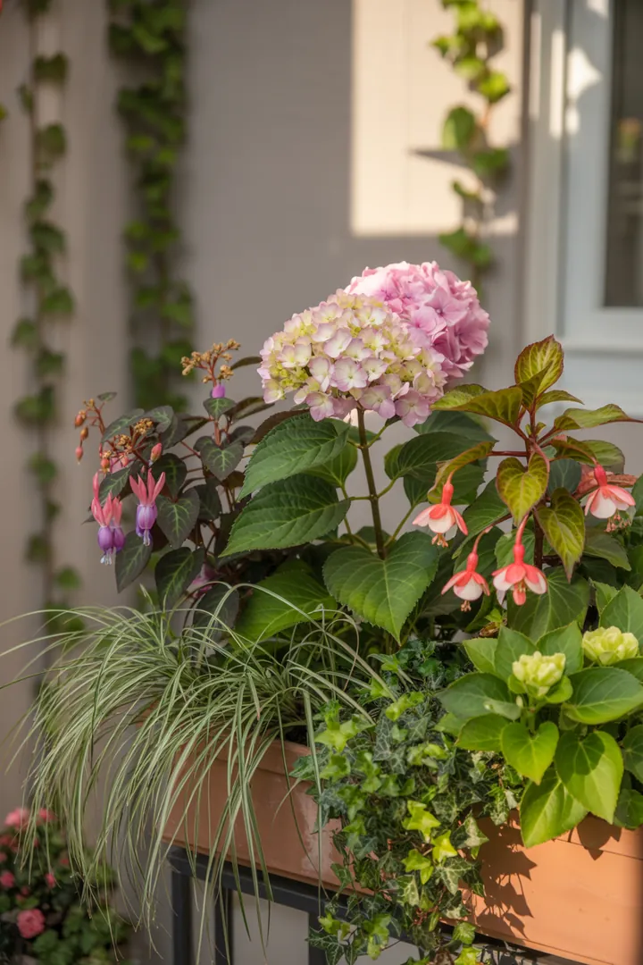 Bunte Blütenarrangements in einem dekorativen Kübel, gefüllt mit Lavendel, Geranien, Fuchsien, Hortensien, Efeu und Ziergras.