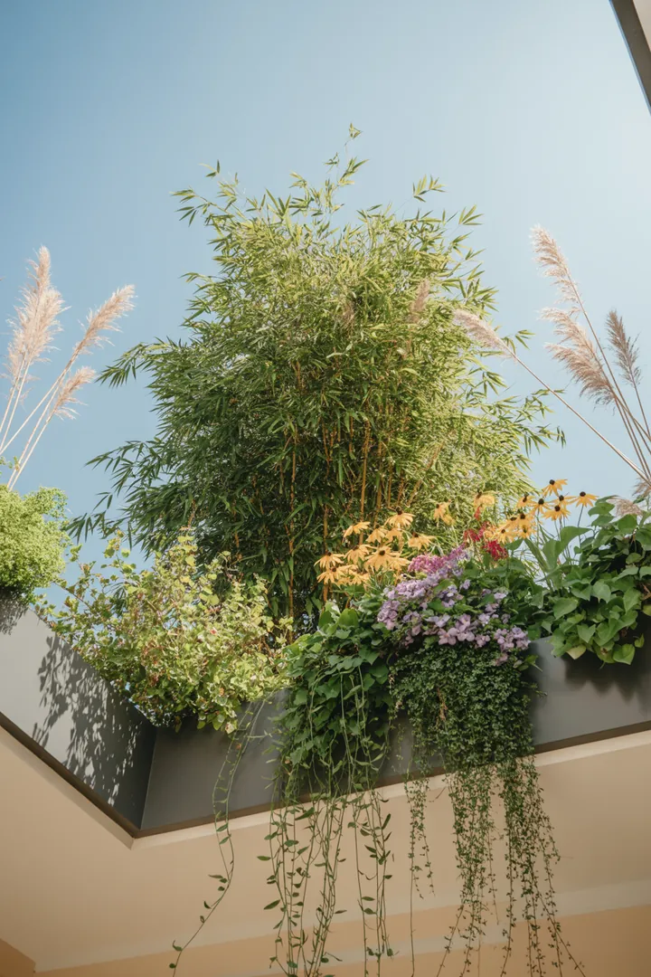 Buntes Arrangement aus Ziergräsern, blühenden Kletterpflanzen und elegantem Rankgitter in einem stilvollen Pflanzkübel, umgeben von grünem Bambus.