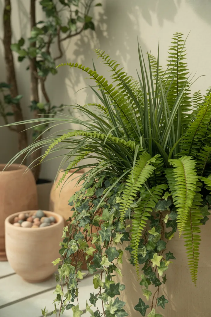 Bunte Kombination aus Efeu, Farn, Ziergras, Hauswurz und Fetthenne in einem dekorativen Pflanzkübel, gefüllt mit Blähton für optimale Drainage.