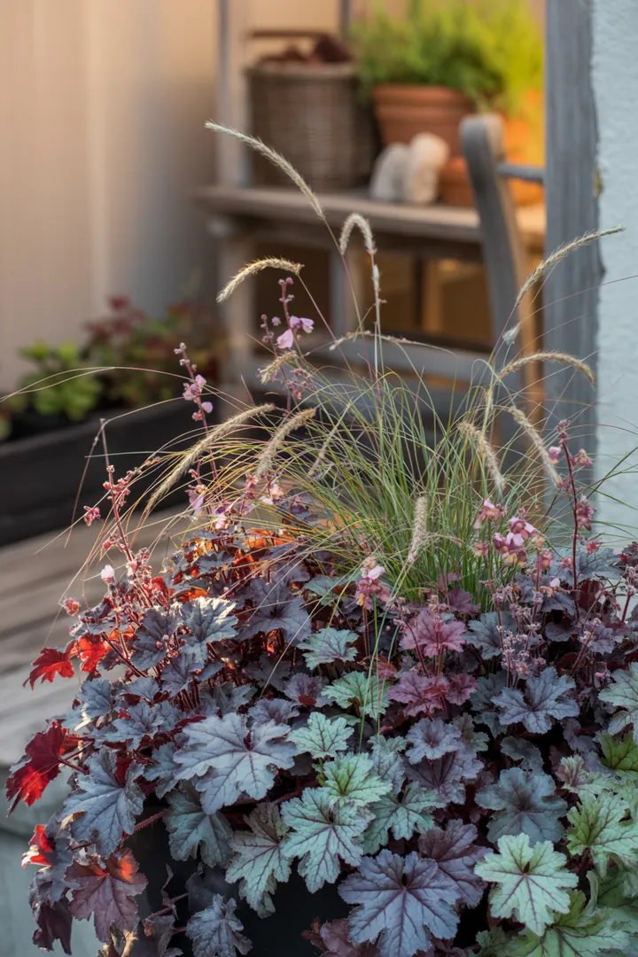 Bild eines farbenfrohen Gartens mit verschiedenen Pflanzen, darunter lebendige Heuchera micrantha, Schneeheide mit Winterblüten und immergrüne Skimmia japonica. Die bunte Vielfalt wird durch zierende Segge und robuste Teppich-Fetthenne ergänzt. Herbstliche Akzente setzen Besenheide und frostharte Chrysanthemen.