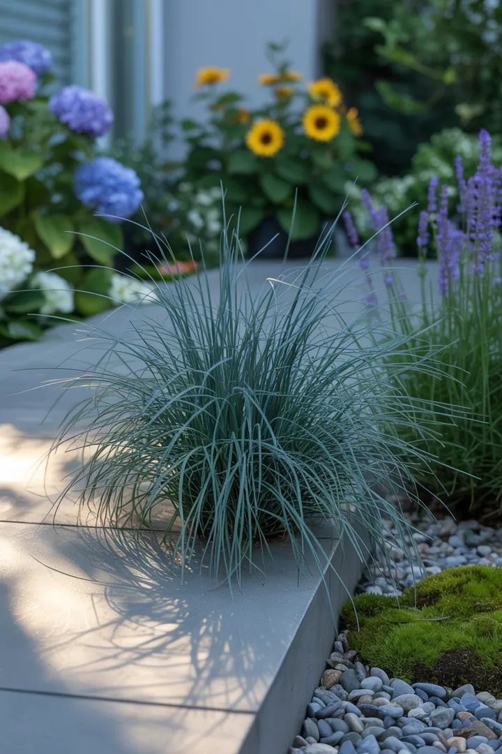 Farbenfrohe Pflanzenkomposition mit winterharten Blüten und immergrünen Gewächsen, die lebendige Akzente setzen und eine vielfältige, ganzjährige Gartenlandschaft schaffen.