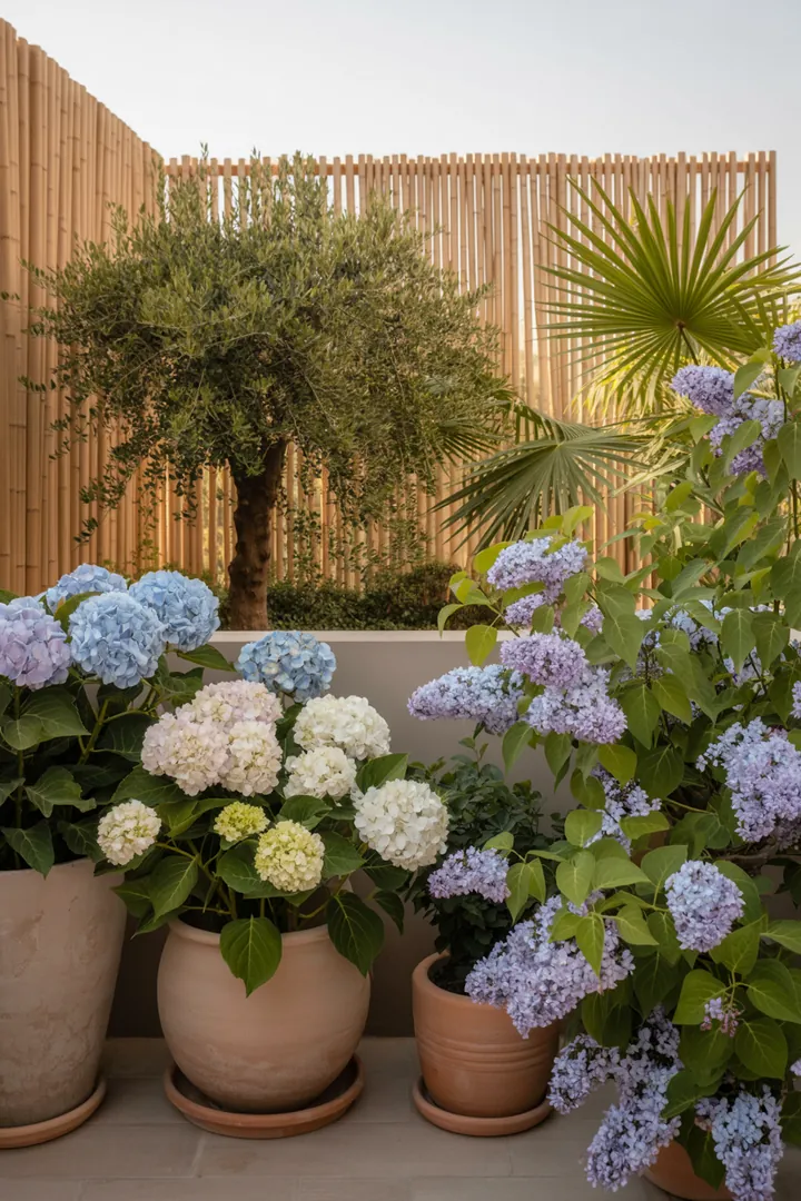 Ein üppiger Garten mit großen Pflanzkübeln, die eine Vielfalt an Pflanzen wie Bambus, Hortensien, Zwergflieder und Olivenbäume beherbergen, umgeben von einer eleganten Fächerpalme.