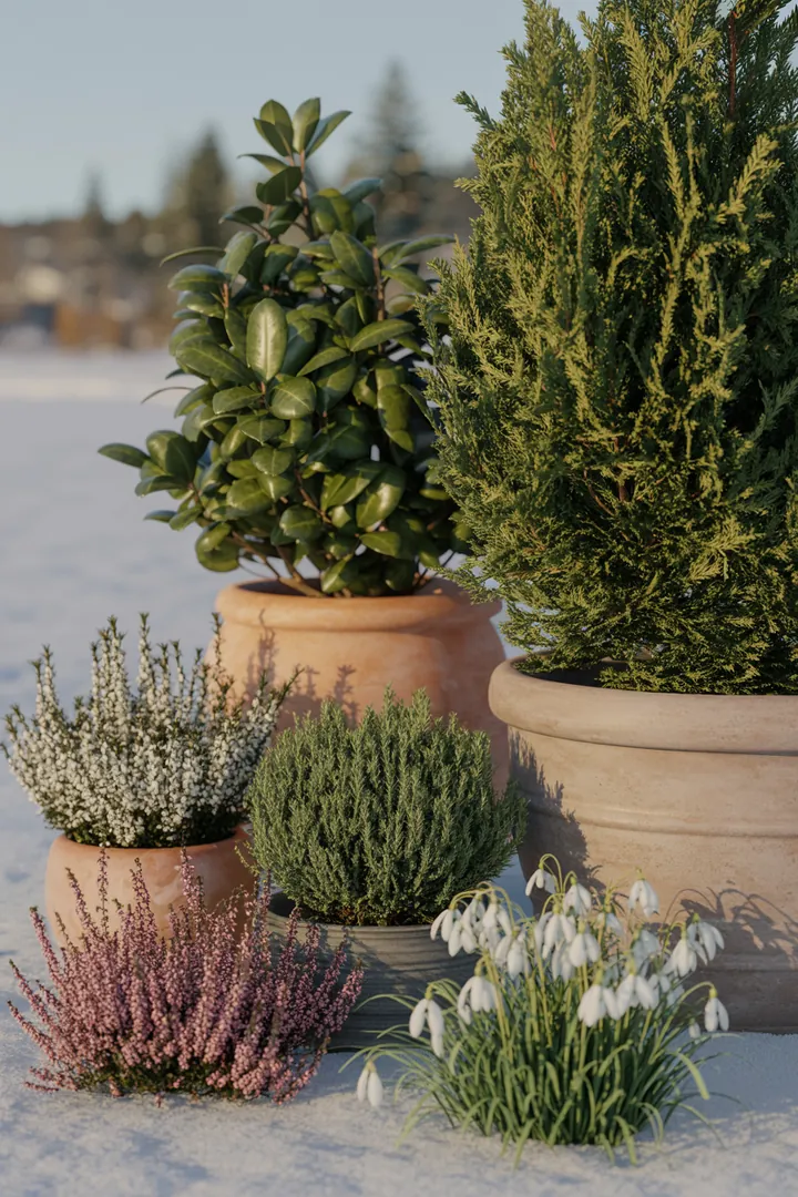 Ein buntes Frühlingsarrangement zeigt verschiedene Pflanzen mit frühen Blüten, darunter frostharte Hornveilchen und duftende Hyazinthen, die die Farben des Erwachens der Natur verkörpern.
